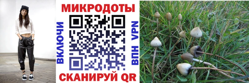 Псилоцибиновые грибы мухоморы  где продают   Сосновоборск 