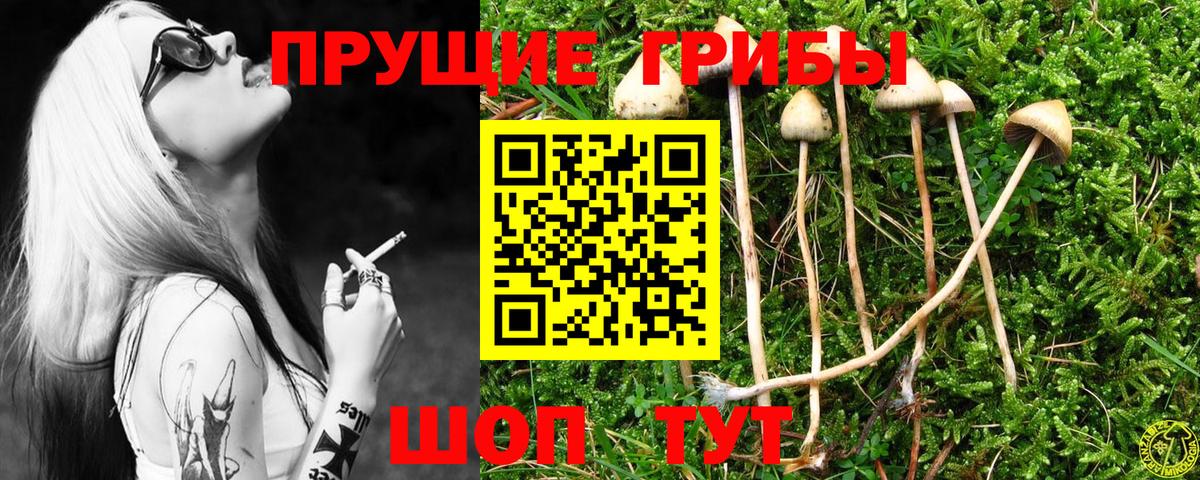 Сосновоборск  Галлюциногенные грибы Magic Shrooms  Вход с VPN 