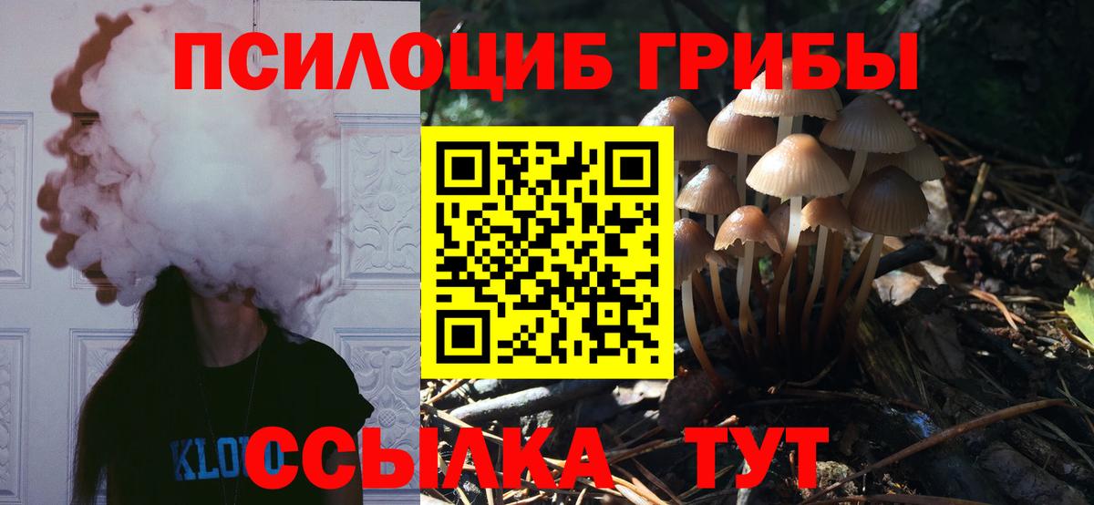 Галлюциногенные грибы мухоморы Сосновоборск